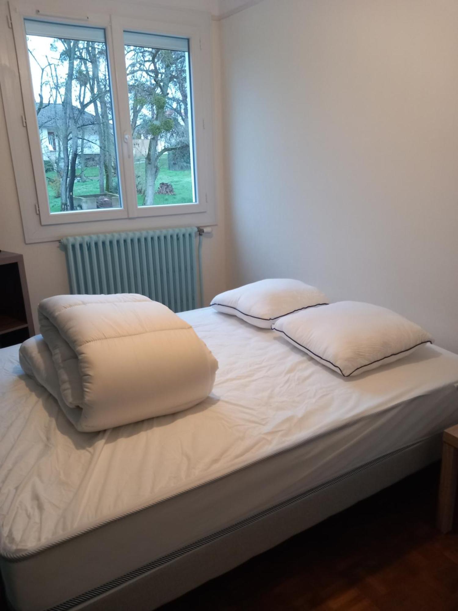 Les Cyclamens 1 Apartment Cosne-Cours-Sur-Loire Ngoại thất bức ảnh